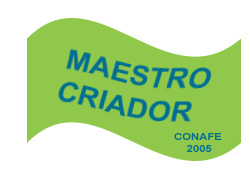 MAESTRO CRIADOR
