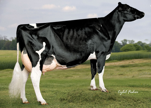 SAVAGE-LEIGH LICORICE ET 