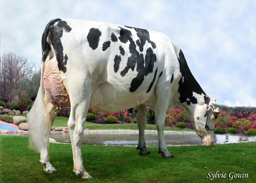 BOS BAIXO BAXTER ASPEN