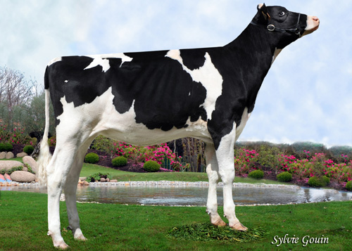 BAIXO XACOBEO MARUXA